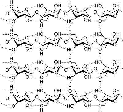 Polysaccharides