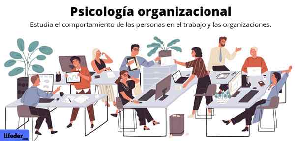 Psicologia organizzativa