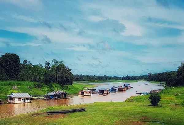 Região da Amazônia