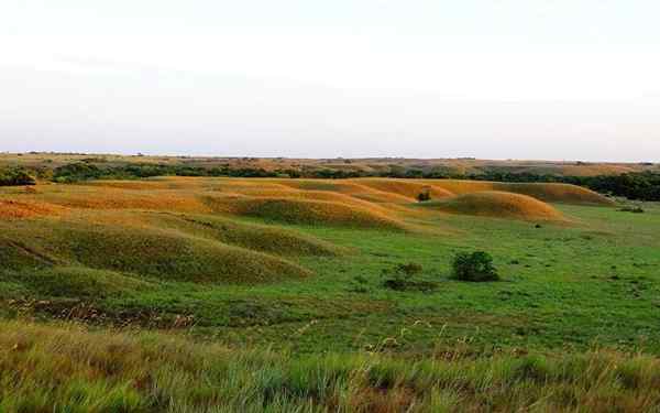 Orinoquían alue