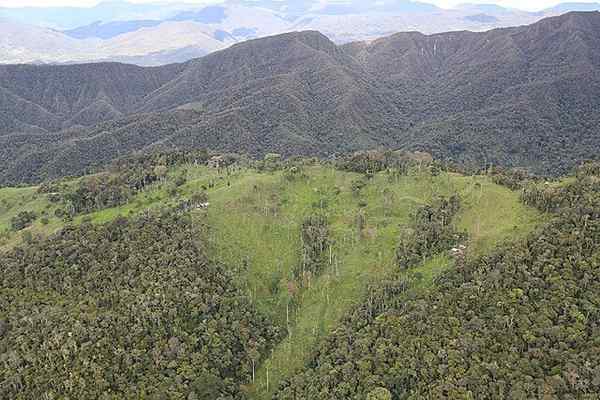 Region Yunga Peru