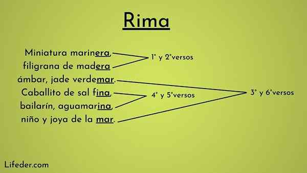 Rima