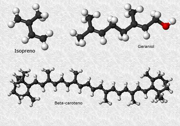 Terpenes