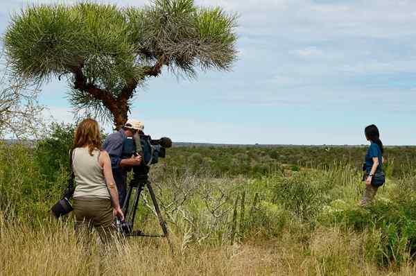 10 caractéristiques d'un documentaire