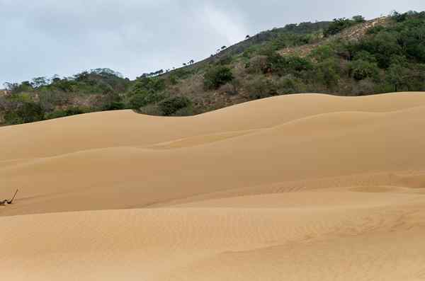 5 mitos dan legenda rantau Caribbean Colombia