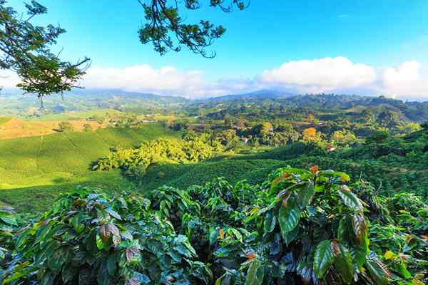 7 toeristische sites in de Andes regio Colombia