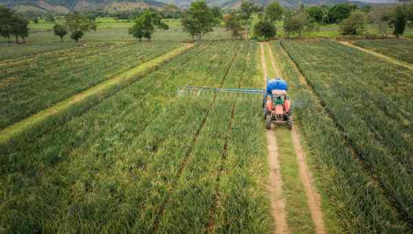 Agricoltura della regione di Orinquía