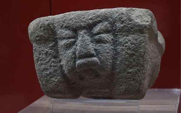 Alimentazione olmec