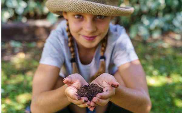 Antecedentes da ecologia