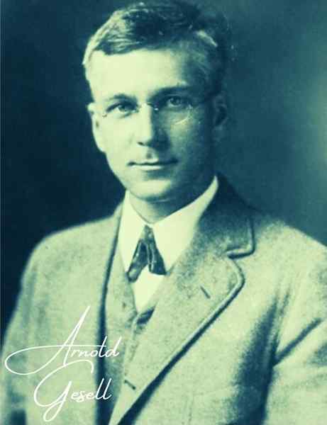 Arnold Gesell