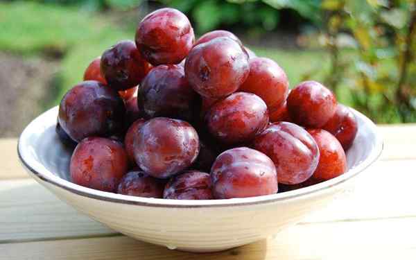 Faedah plum kesihatan