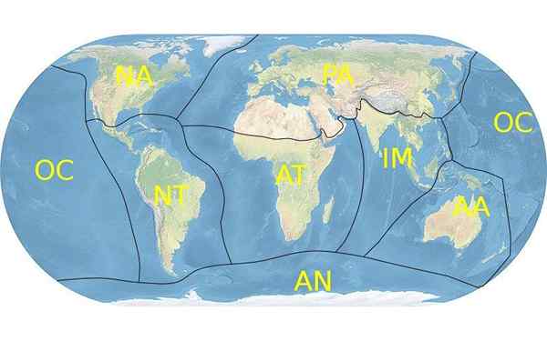 Bioregion lautan