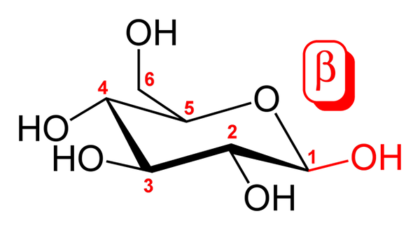 Carbonio anomerico cosa è, caratteristiche, esempi