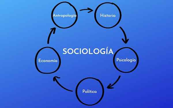 Ciências Auxiliares da Sociologia