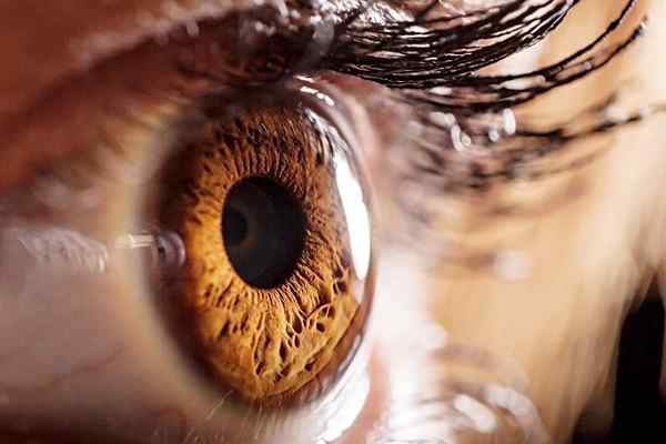 Comment lire les yeux d'une personne