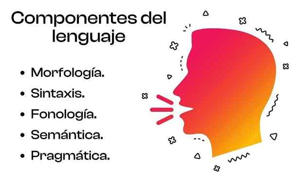 Componentes de idiomas