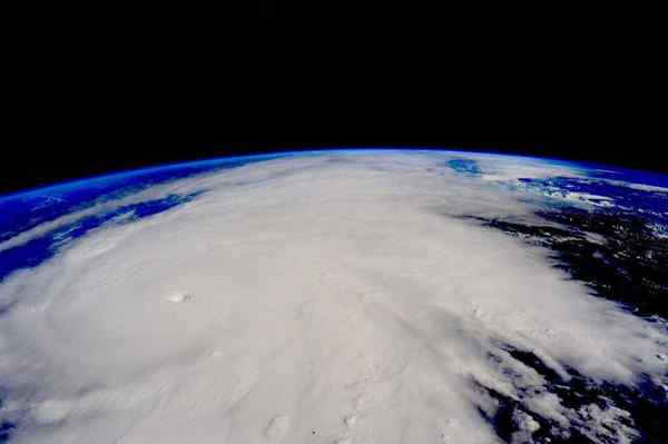 Conseguenze di tempeste e uragani nell'ecosistema