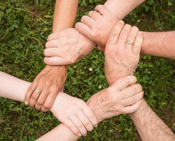 Gemeinschaftskoexistenz Was ist, Werte, Vorteile, Beispiele