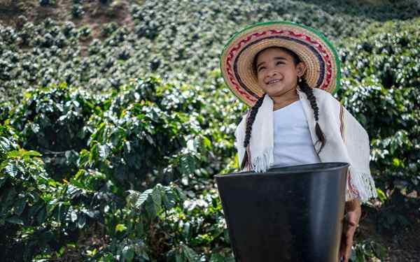 Coplas dari rantau Andean Colombia