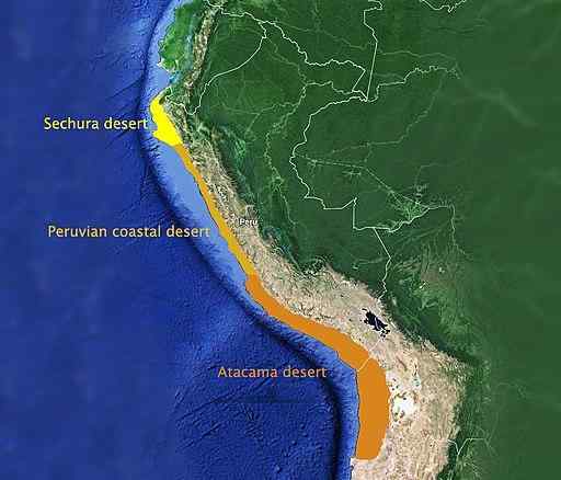 Deserto del Pacifico Cosa sono, caratteristiche, clima, flora, fauna