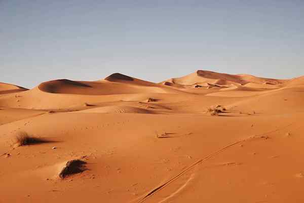 Deserto