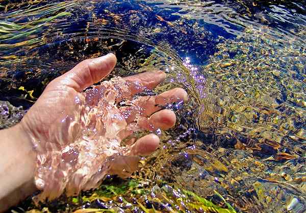 Dove possiamo trovare l'acqua?