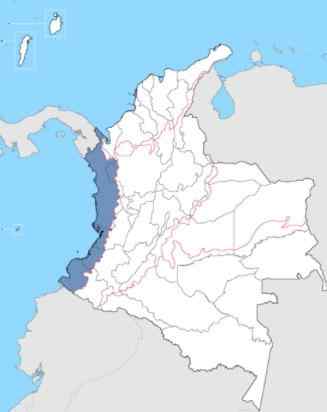 Économie de la région du Pacifique en Colombie Activités économiques