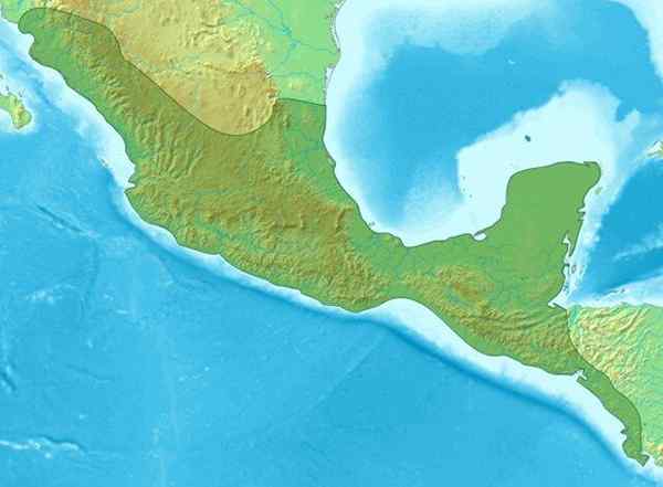 Ekonomi, struktur sosial dan kehidupan sehari -hari di pasca -klasik