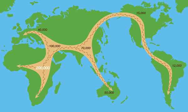 Le règlement des continents