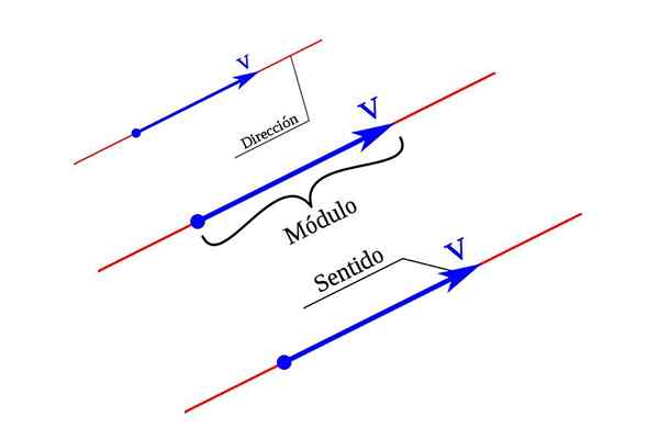 Elementen van een vector