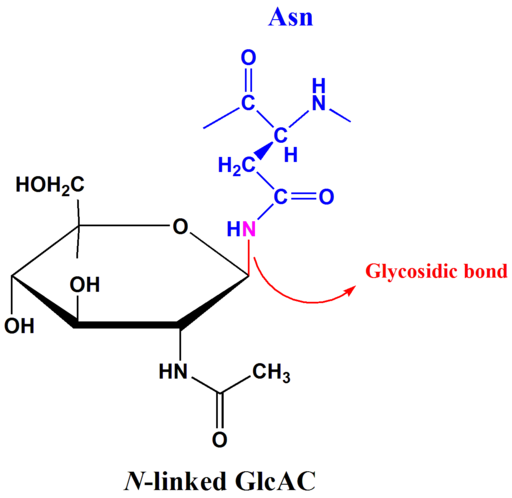 Lien glycosidique ce qui est, caractéristiques, types, nomenclature