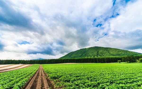 Landwirtschaftlicher Raum