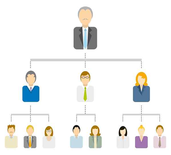 Structure organisationnelle