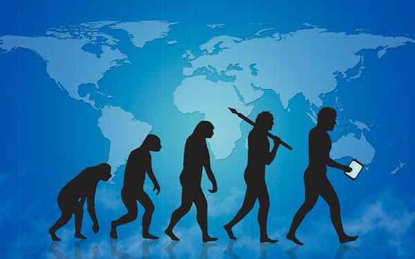 Evolucionismo unilineal