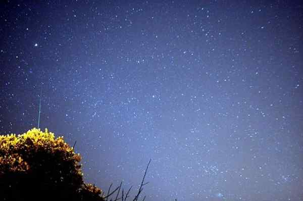 Geminidas origem, características e como observá -las