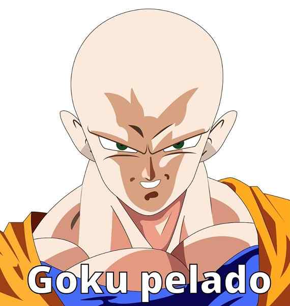 Goku descascado / meme