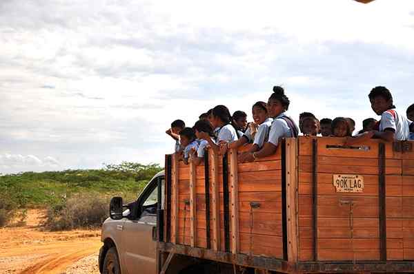 Guajiro Signification, Origine, Ethnicité, Exemples