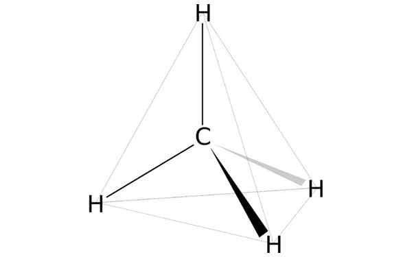 Importância de compostos orgânicos