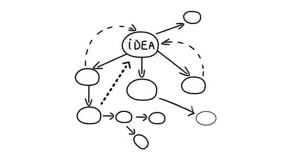 Le idee principali sono direttamente collegate all'idea centrale