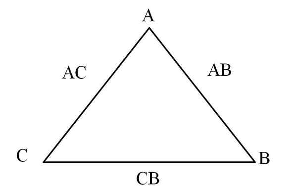 Ritchter-Wenzel Law Wat is, verhalen, uitspraken, voorbeelden