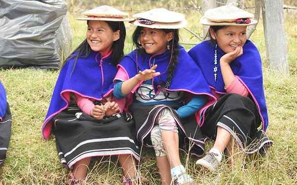 Letteratura indigena della Colombia