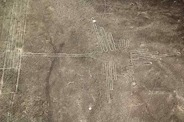 Linee di nazca