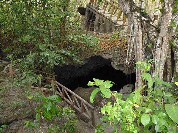 Les 7 sites touristiques de la région insulaire la plus populaire