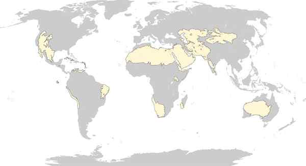 Xerófilo scrub cosa sono, caratteristiche, flora, fauna