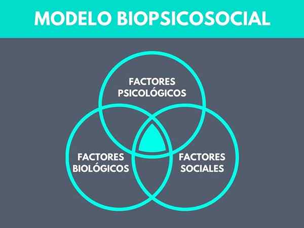 Modelo Biopsicossocial