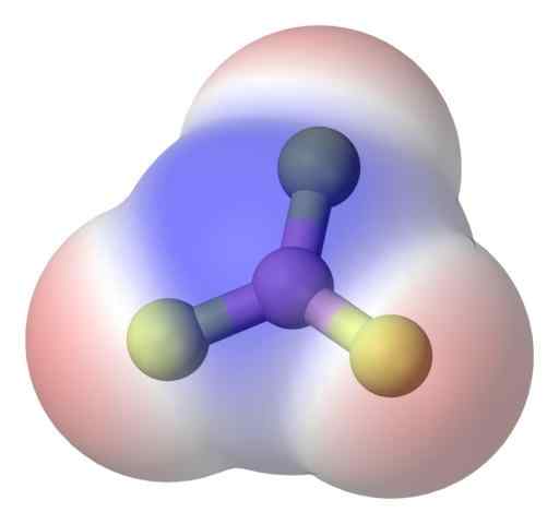 Molekul apolar