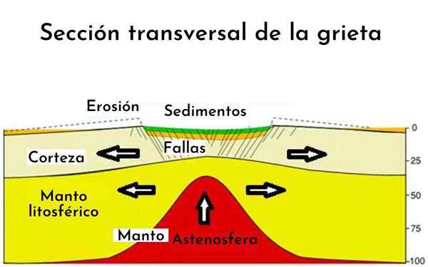 Epirogena gibanja