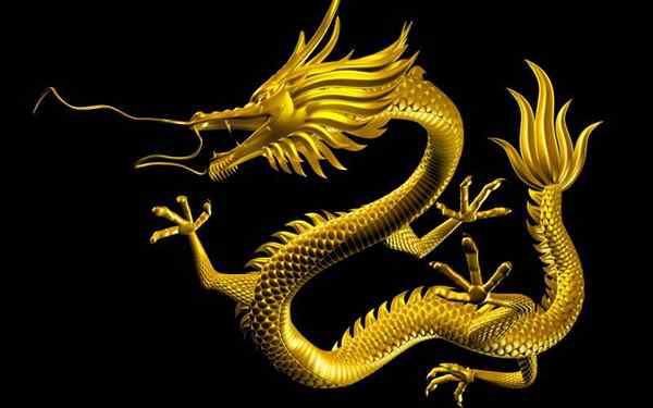 Dragon -namen