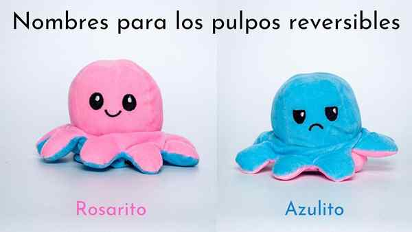 Reversible Octopus -Namen