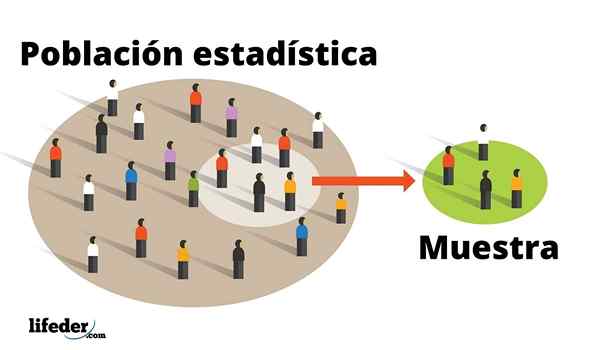 Statistisch populatieconcept, types, voorbeelden